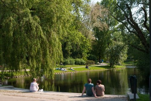Walking paths in the green Noorderplantsoen Groningen, perfect for a walking meeting during your workday.